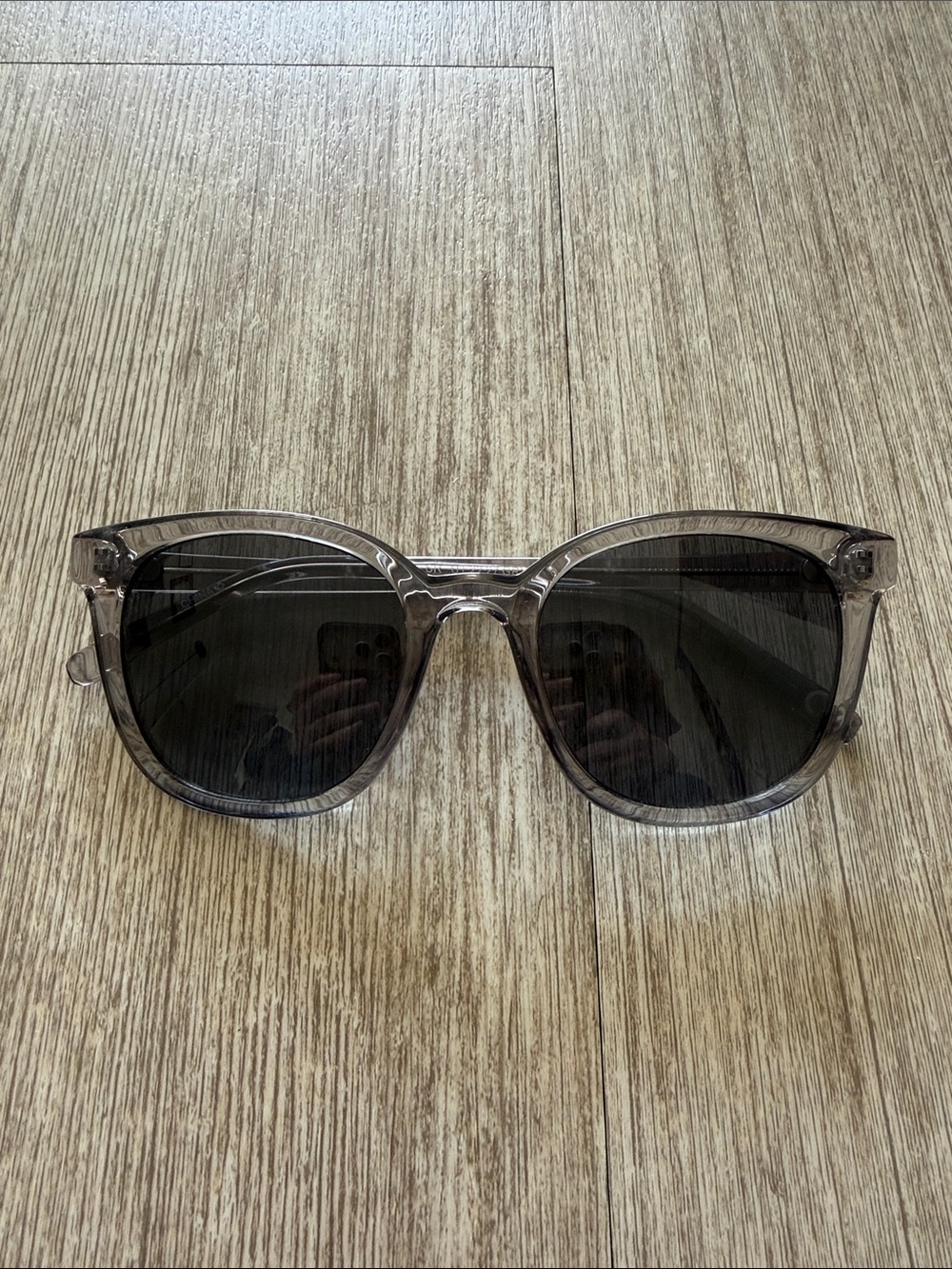 NWOT Classic Transparent Gray Sunglasses with Dark Lenses